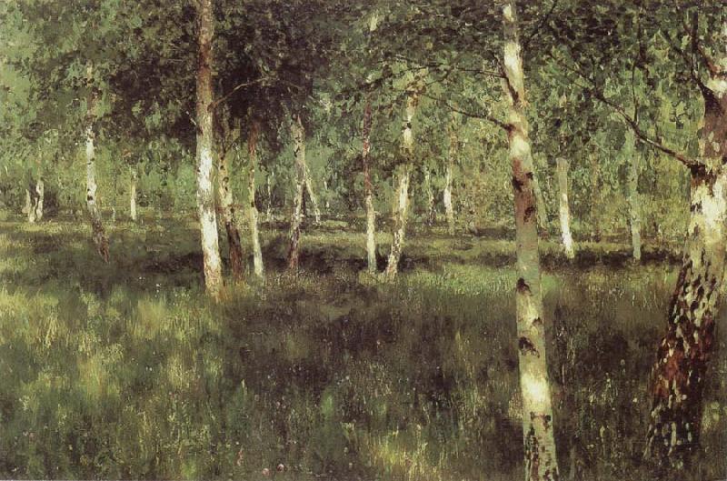 Isaac Levitan Birch Plantation France oil painting art
